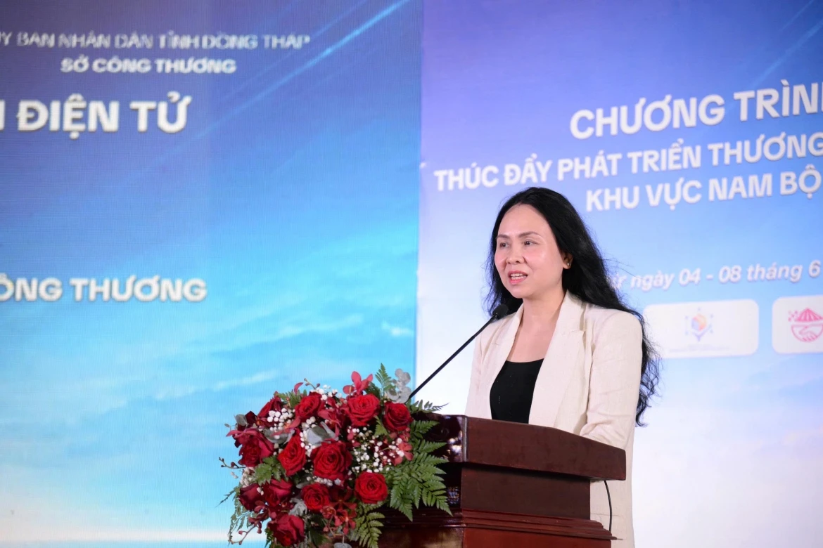 bo cong thuong to chuc hoi nghi thuong mai dien tu khu vuc tay nam bo hinh anh 2