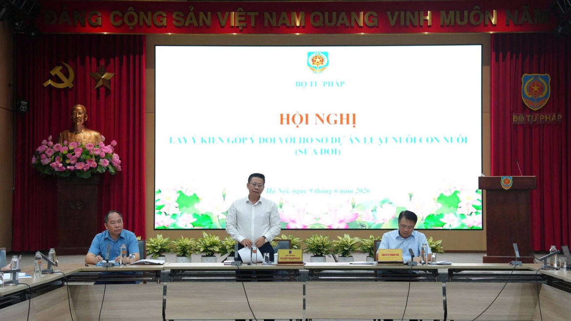 De xuat nhieu quy dinh ve dieu kien, do tuoi nhan nuoi con nuoi hinh anh 1