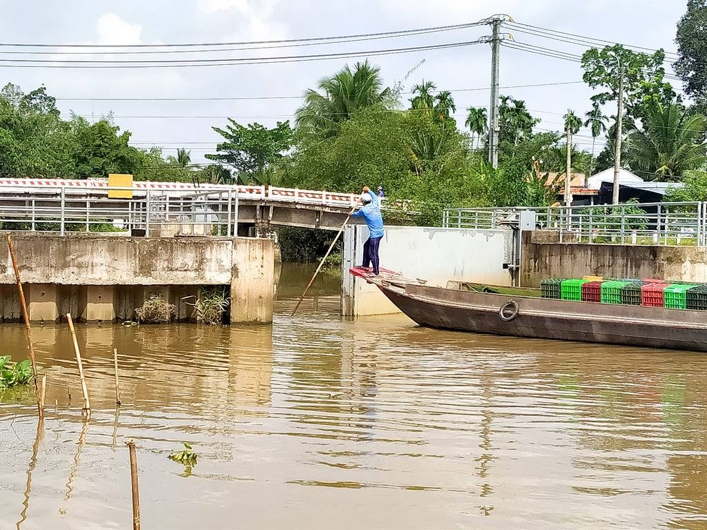 Uu tien dau tu cac du an lien vung phong, chong sut lun, sat lo o Dbscl hinh anh 1