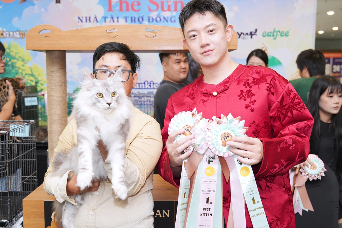meo gia gan nua ty dong gay chu y tai cuoc thi hoa hau meo o tp.hcm hinh anh 2