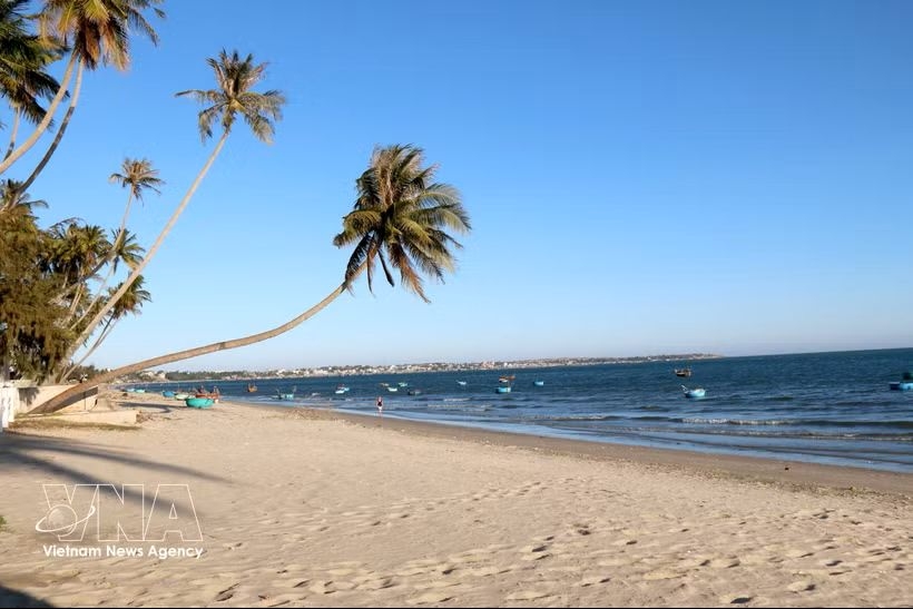 mui ne emerges as one of asia s top kitesurfing destinations picture 1