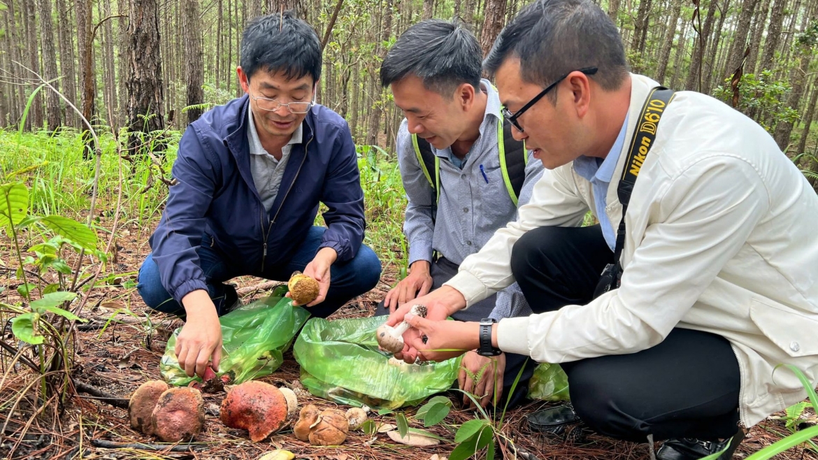 1 nguoi tu vong sau khi an nam rung hinh anh 1