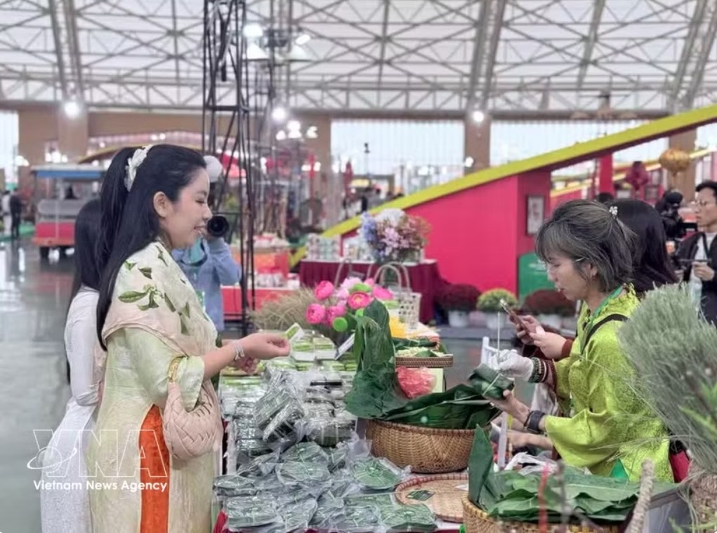 domestic consumption gains momentum as retail sales rise over 11 picture 1