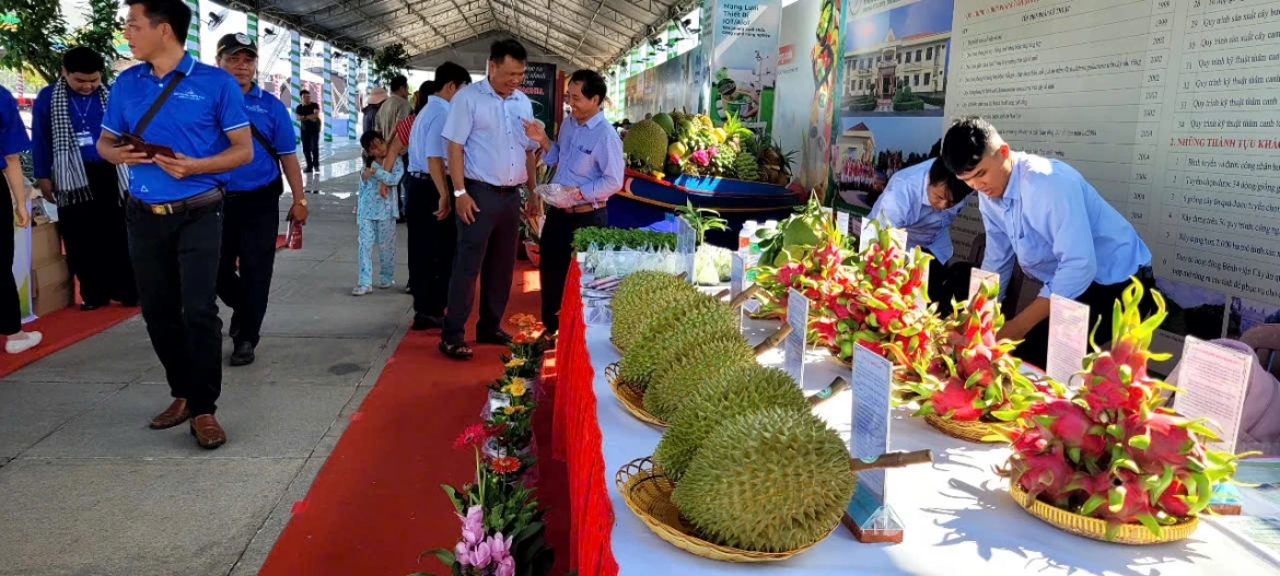 Dong thap hoi tu nhieu loai trai cay dac san tru danh cua vung dat phuong nam hinh anh 5