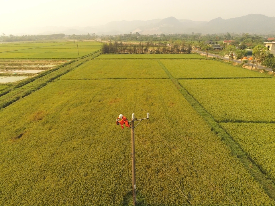 evnnpc dam bao cung ung dien mien bac truoc ap luc phu tai tang cao hinh anh 3