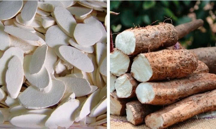 Củ hoài sơn có tác dụng gì mà được ví là “thực phẩm dưỡng sinh”?