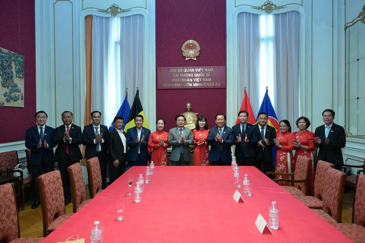 tay ninh promotes investment in belgium, awards us 100 mln dairy project picture 1