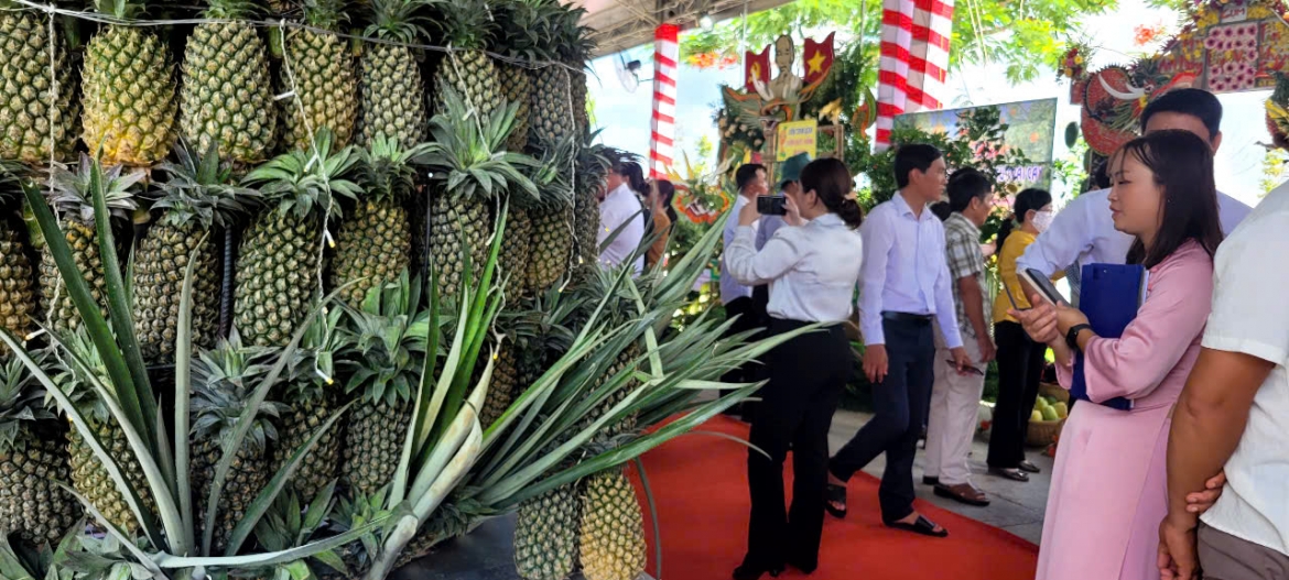 Dong thap hoi tu nhieu loai trai cay dac san tru danh cua vung dat phuong nam hinh anh 7