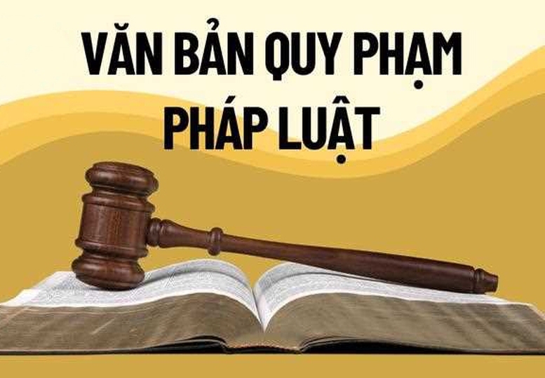 xu ly triet de tinh trang cham ban hanh van ban quy dinh chi tiet luat, phap lenh hinh anh 1