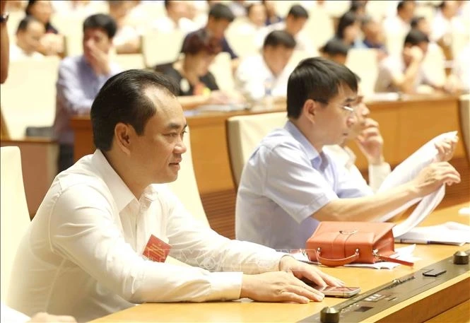 tong bi thu, chu tich nuoc to lam du hoi nghi trien khai duong loi doi ngoai hinh anh 3