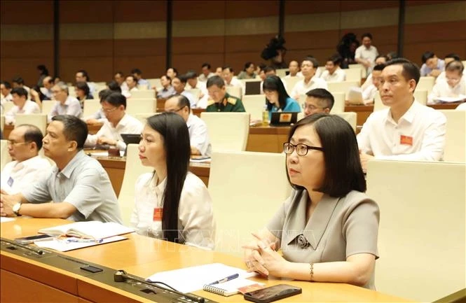 tong bi thu, chu tich nuoc to lam du hoi nghi trien khai duong loi doi ngoai hinh anh 4