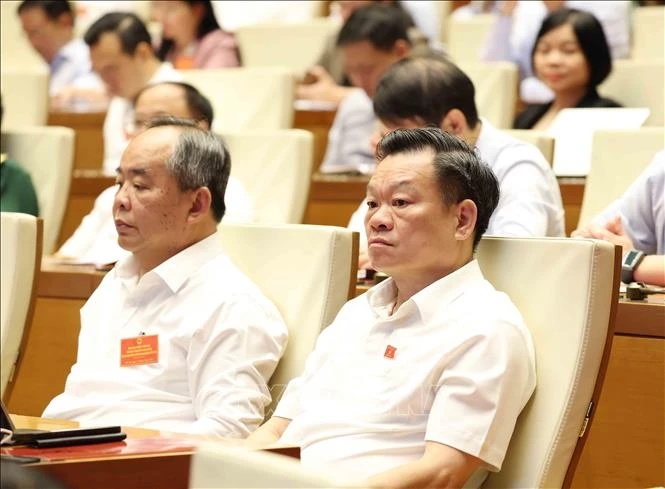 tong bi thu, chu tich nuoc to lam du hoi nghi trien khai duong loi doi ngoai hinh anh 5