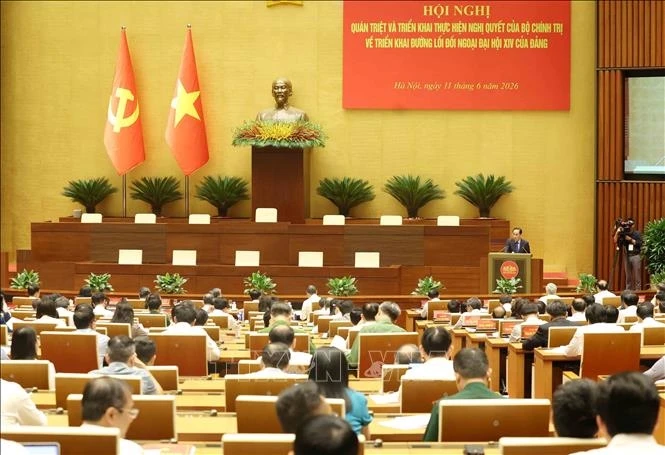 tong bi thu, chu tich nuoc to lam du hoi nghi trien khai duong loi doi ngoai hinh anh 6