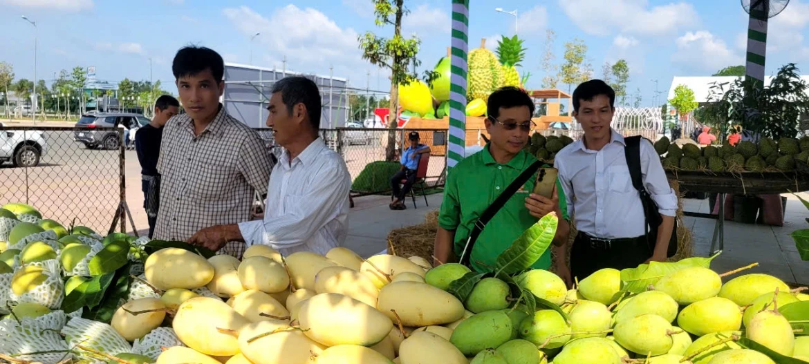 Dong thap hoi tu nhieu loai trai cay dac san tru danh cua vung dat phuong nam hinh anh 9