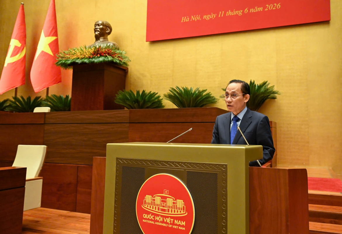 tong bi thu, chu tich nuoc to lam du hoi nghi trien khai duong loi doi ngoai hinh anh 7