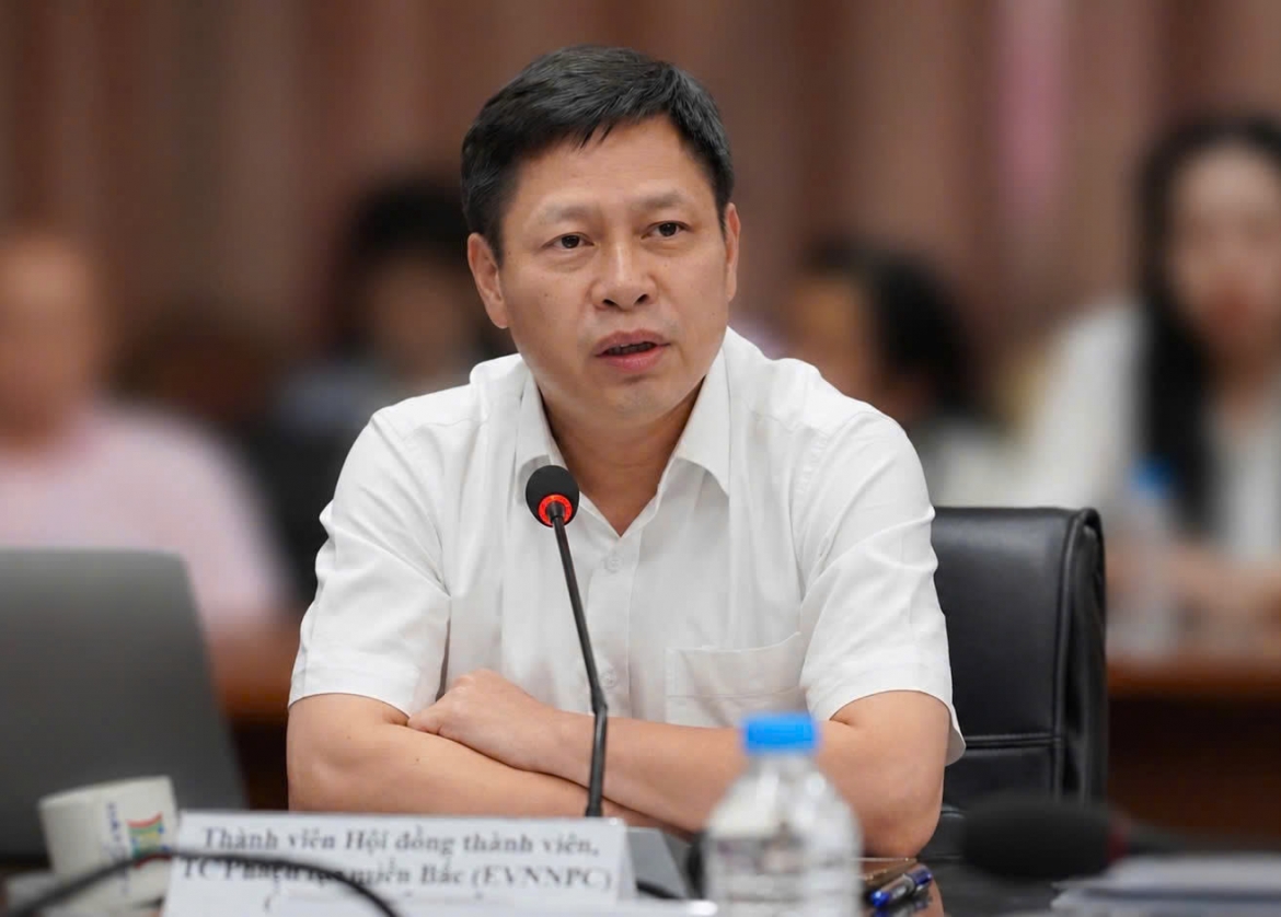 xay dung cac kich ban phu tai, bao dam cung ung dien mua nang nong hinh anh 1