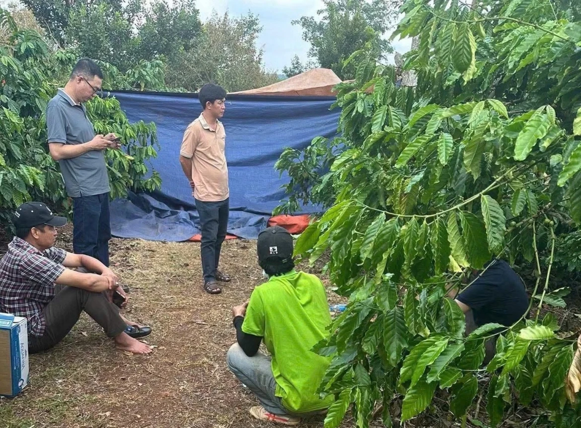 nghi an chong giet vo roi bo tron ve que hinh anh 1