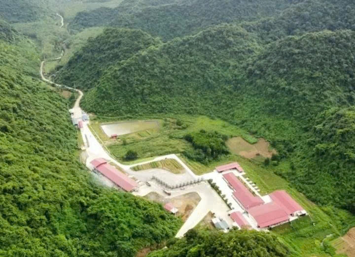 thanh hoa dieu tra toan dien trang trai dabaco sau vu tai nan lam 5 nguoi tu vong hinh anh 1