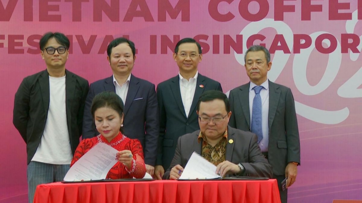 le hoi ca phe viet nam tai singapore 2026 show biz mang khat vong vuon day hinh anh 1