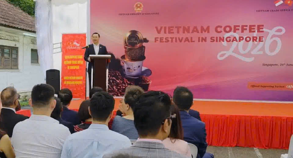 le hoi ca phe viet nam tai singapore 2026 show biz mang khat vong vuon day hinh anh 2