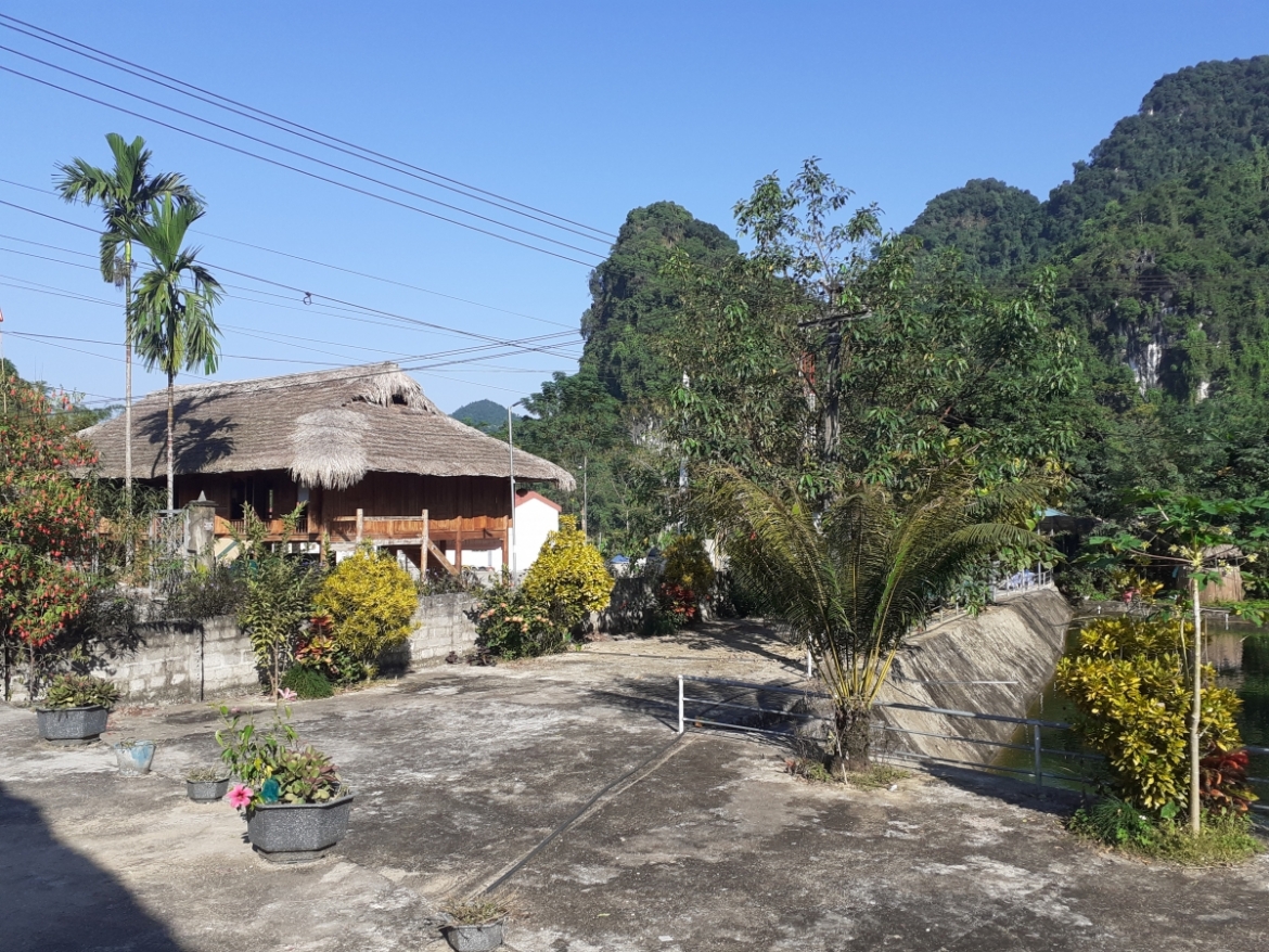 Tuyên Quang phát triển rừng khi thực hiện mô hình chính quyền địa phương hai cấp