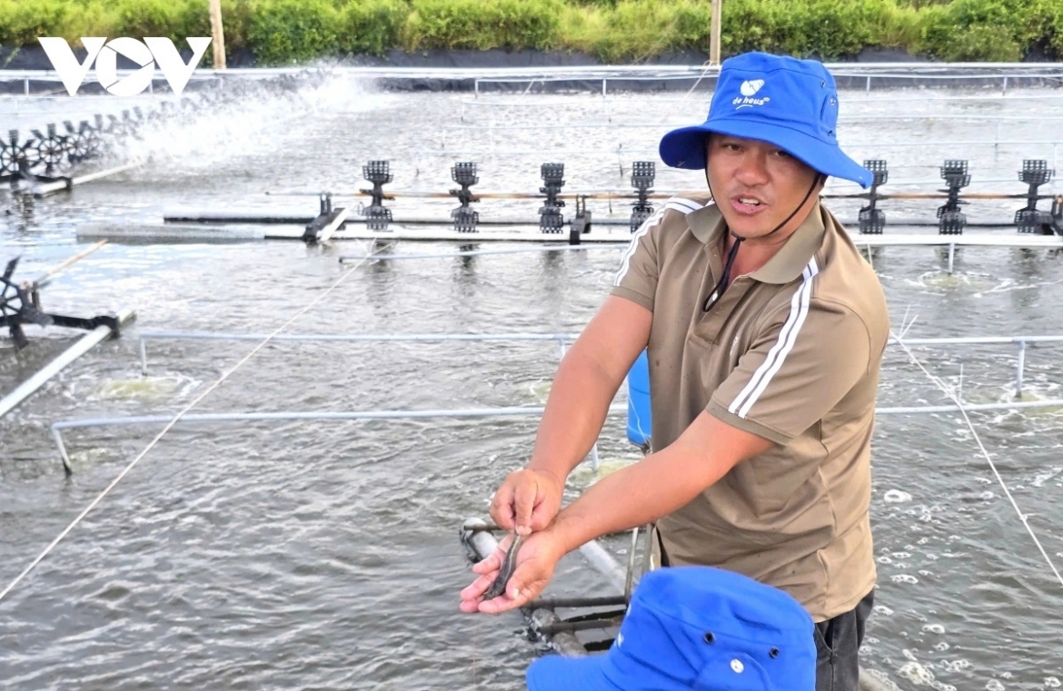 resolution 57 drives vietnam s shift towards an innovation-driven economy picture 4