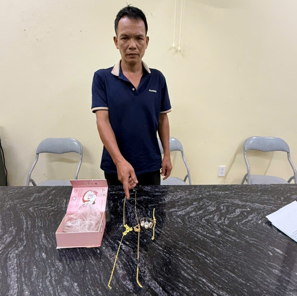 loi dung gia chu ve que, len vao nha duc ket trom 1 cay vang hinh anh 1