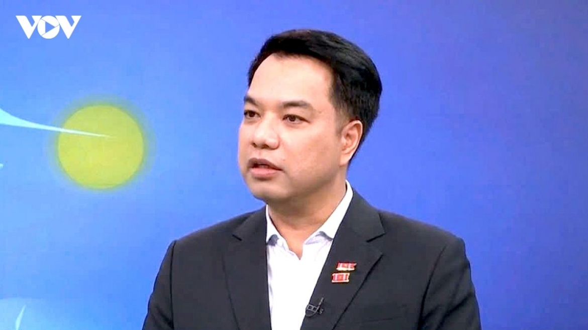 institutional reform key to attracting strategic foreign investors expert picture 1