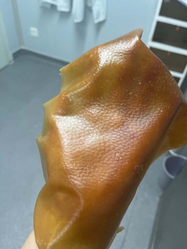 loai vai tu nam co the tu lam sach va phuc hoi khi hu hong hinh anh 2
