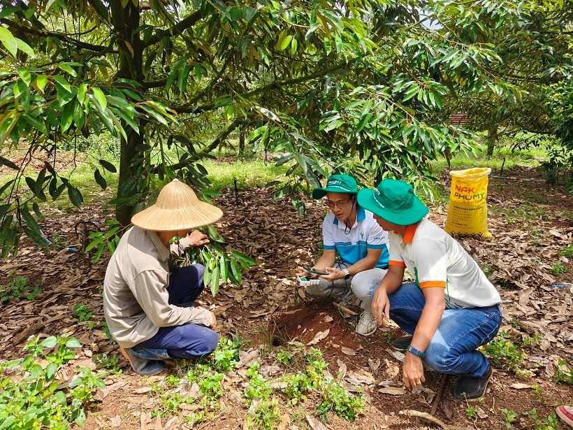 nua dau nam 2026 pvfcco - phu my but pha tang truong toan dien hinh anh 2