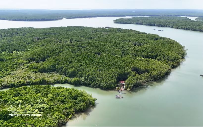 vietnam earns us 56.5 million from forest carbon credit sales to world bank picture 1