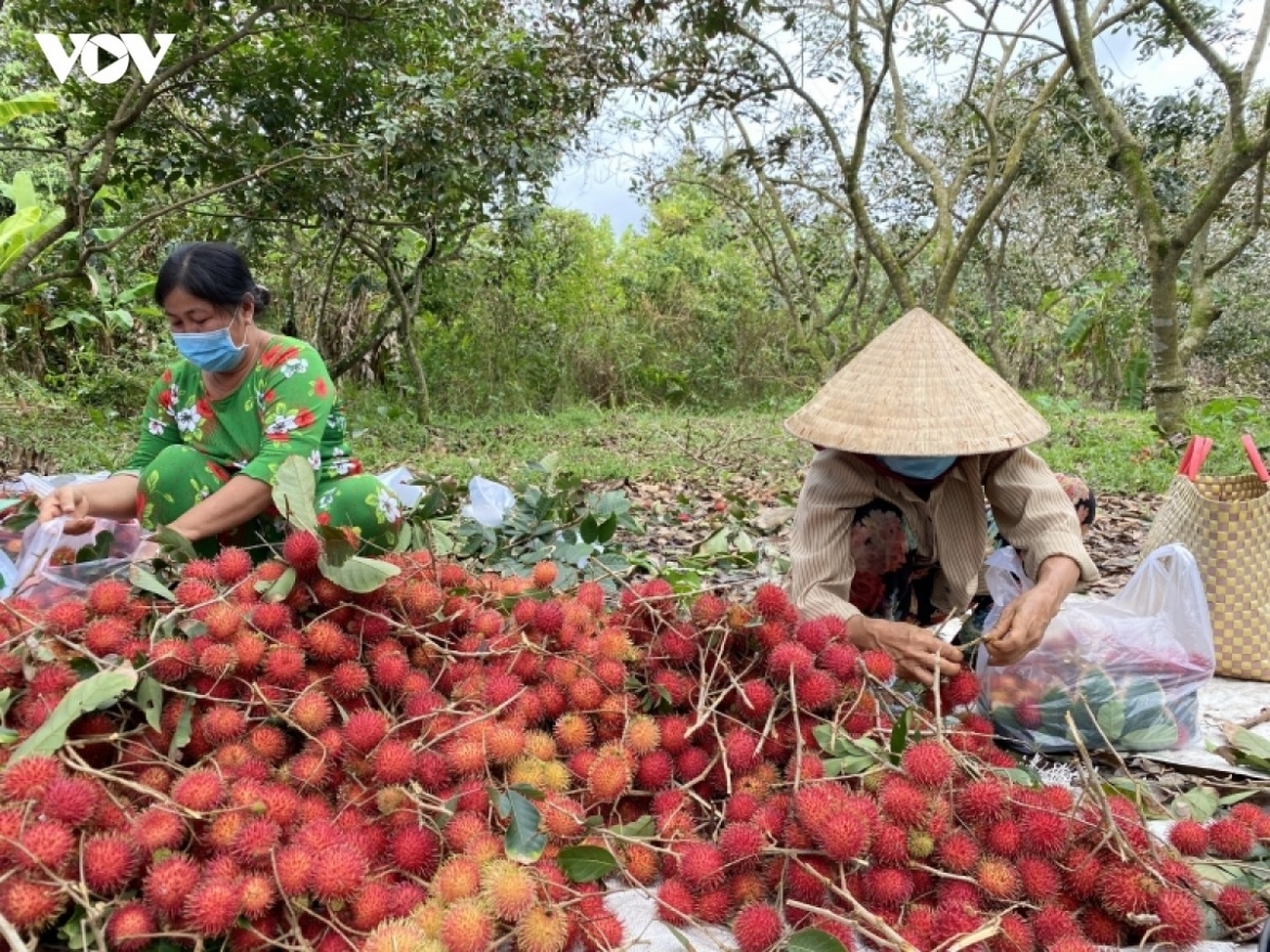 nang cao nang luc phong ve thuong mai nganh nong san hinh anh 1