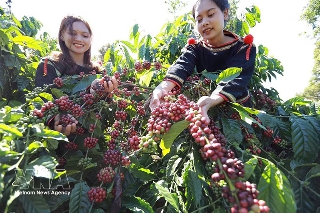 agro-forestry-fishery exports rise 6 in first half of 2026 picture 1