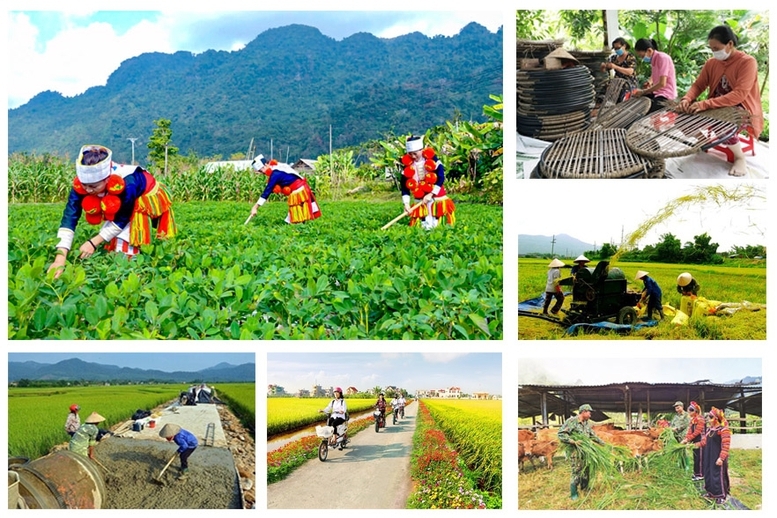 phan dau giai ngan 100 von chuong trinh muc tieu quoc gia hinh anh 1