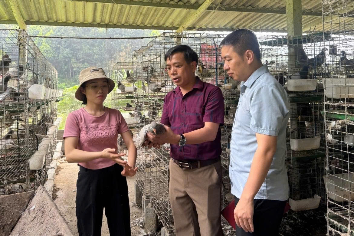 nganh tuyen giao va dan van khang dinh vi the nong cot tren mat tran tu tuong hinh anh 3