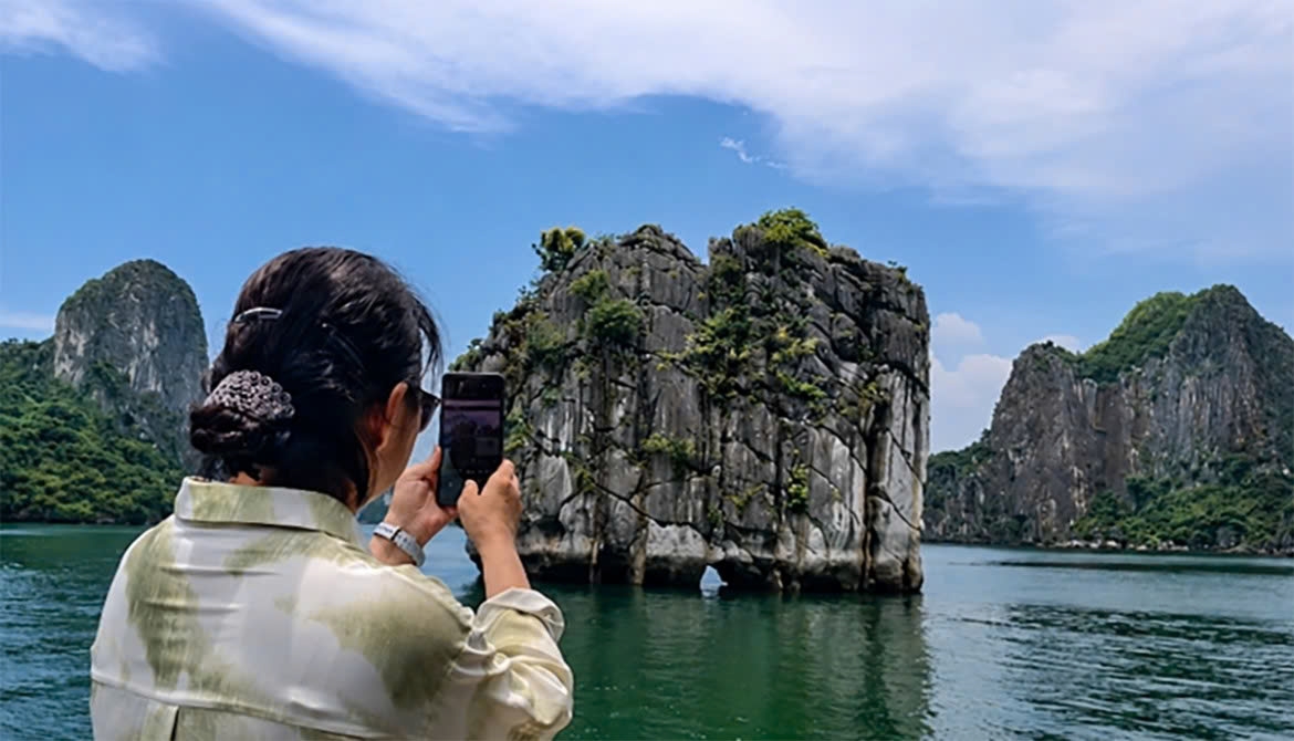 mountain dracaena blooms ha long bay s hidden season of flowers picture 8
