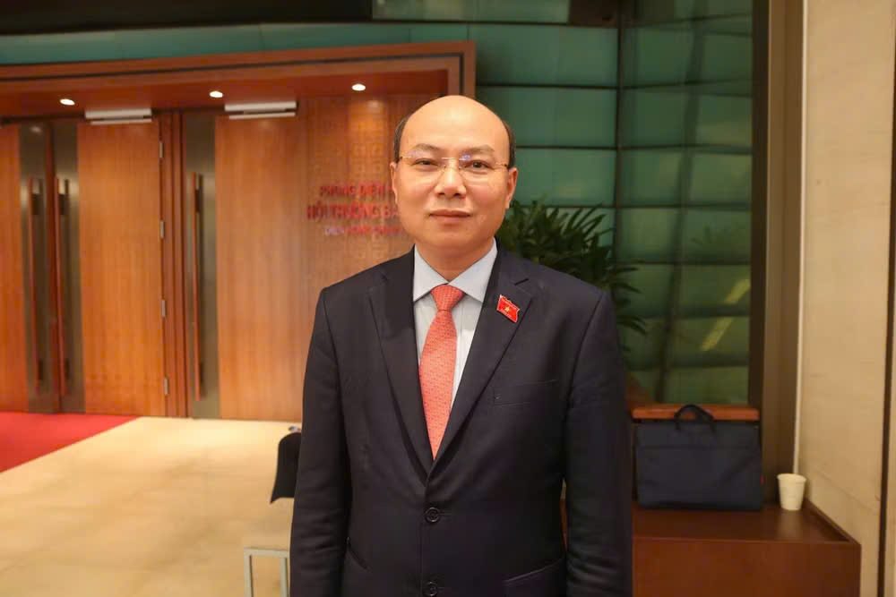Doc lap, tu chu la bo khang the toi uu de viet nam hoi nhap sau rong hinh anh 1