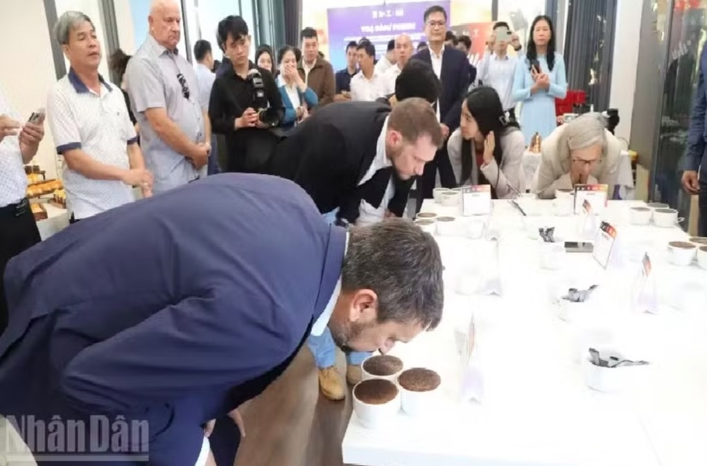 vietnam s specialty coffee sets sights on chinese market picture 1