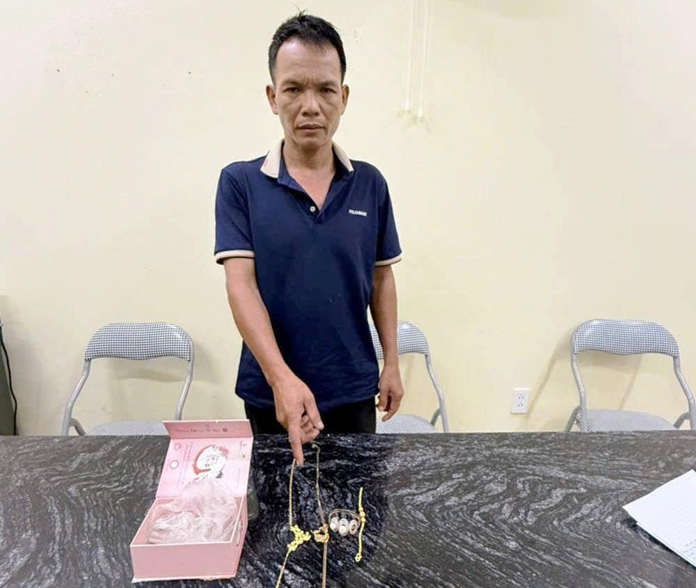 loi dung chu nha ve que, nguoi dan ong pha ket sat trom vang hinh anh 1
