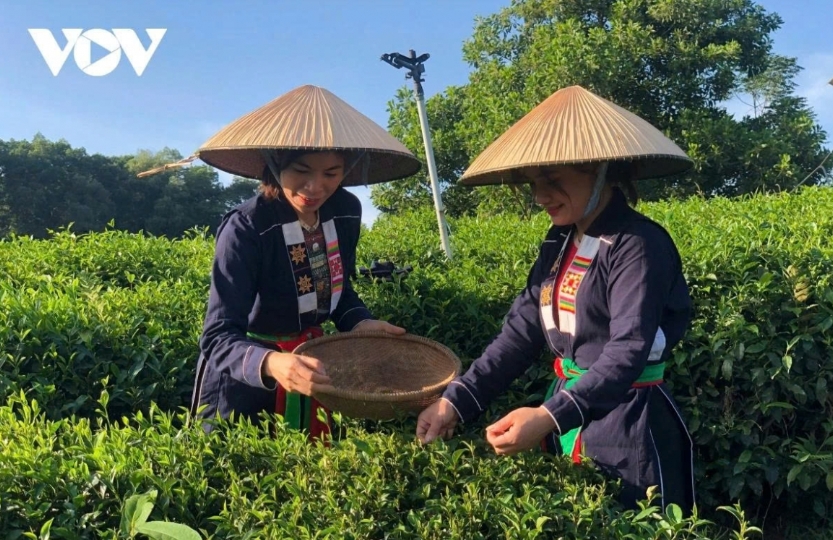 tham gia dao tao, boi duong khuyen nong duoc ho tro 100 chi phi an o, di lai hinh anh 1