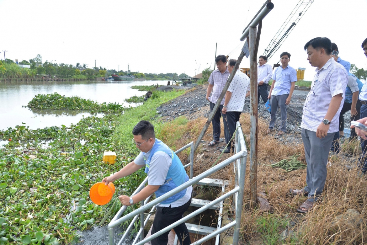 hang chuc ha cay trong tai tinh Dong thap bi thiet hai bat thuong hinh anh 6