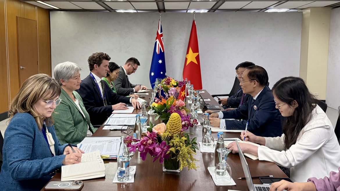 viet nam dong chu tri hoi nghi bo truong ngoai giao asean - new zealand hinh anh 4