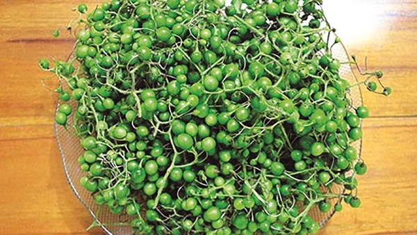 “Quả đắng” tròn như viên bi thành đặc sản Tây Bắc đắt giá