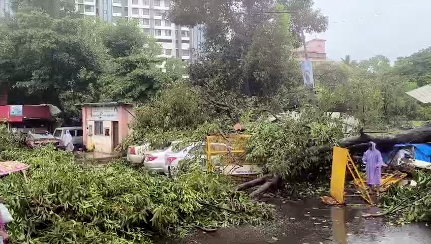 An Do mumbai ngap trong mua lon, hang loat chuyen bay bi anh huong hinh anh 1