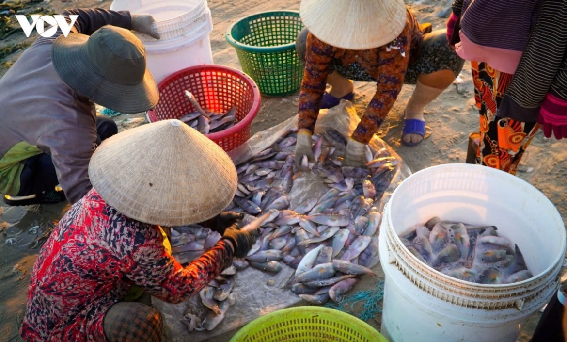 daybreak at mui ne fishing village in lam dong picture 7
