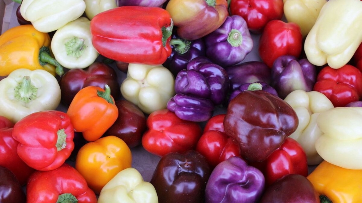 thu qua da mau sac la kho vitamin c an vao bo mau, mat sang lai ngua lao hoa hinh anh 1