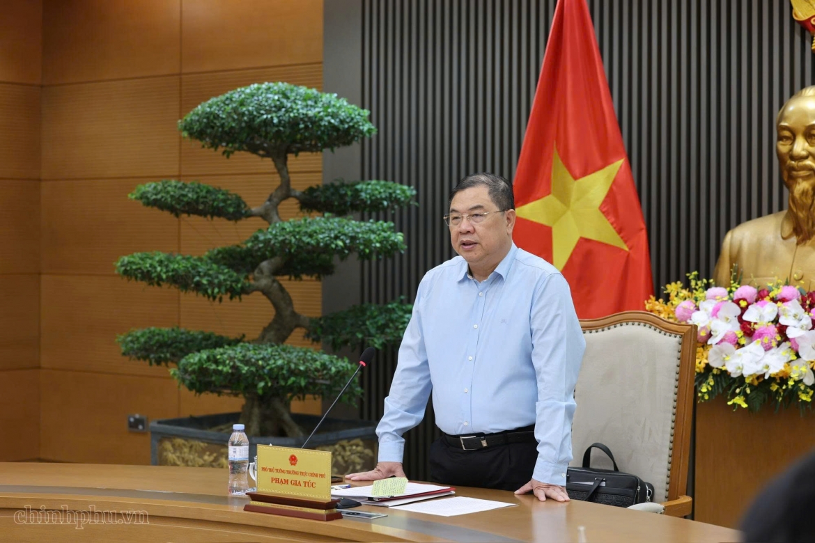 pho thu tuong khan truong hoan thien ho so du an dien hat nhan ninh thuan hinh anh 2