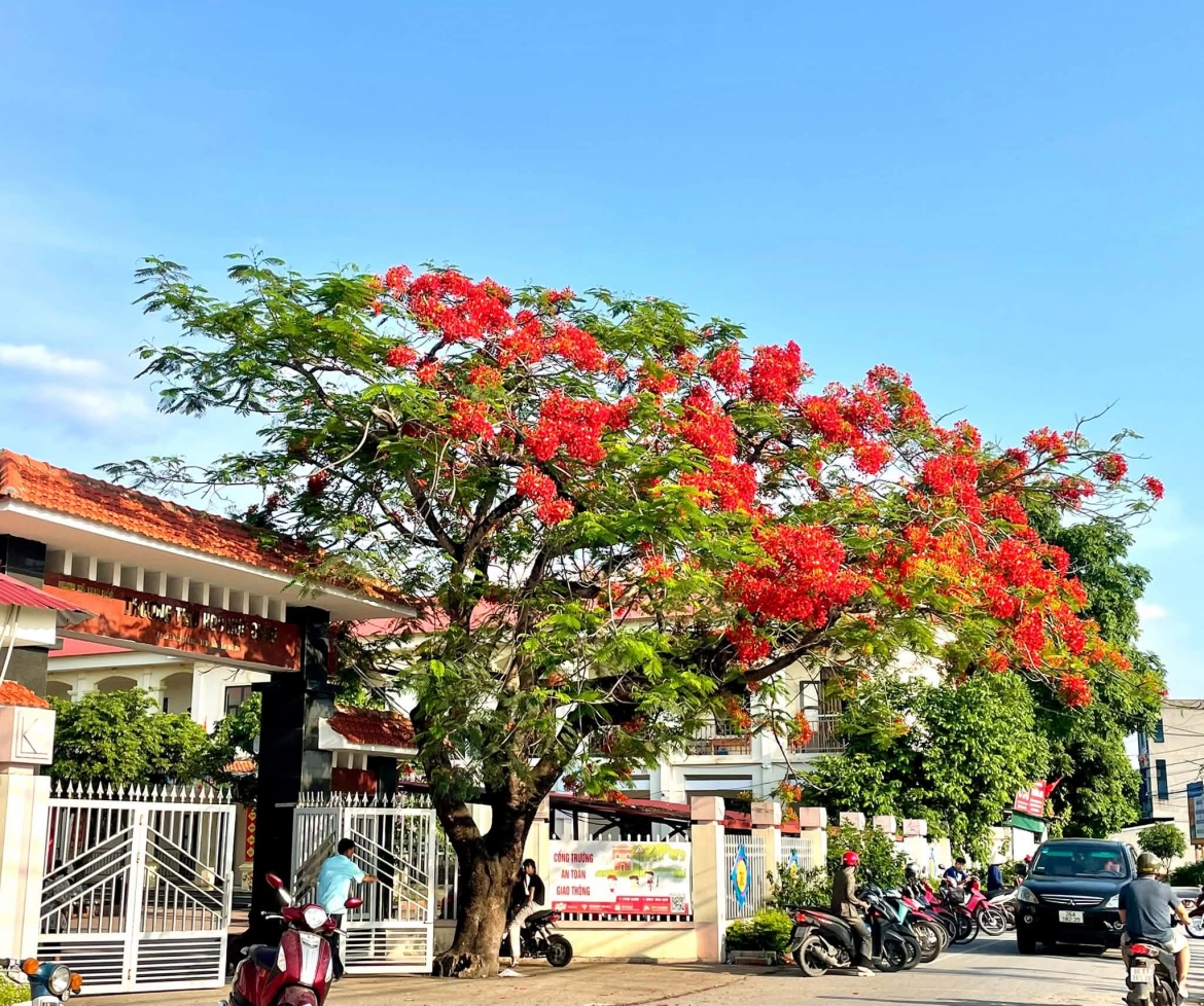 chinh quyen dia phuong hai cap o tam Dao phu tho nhieu mo hinh doi moi hinh anh 4