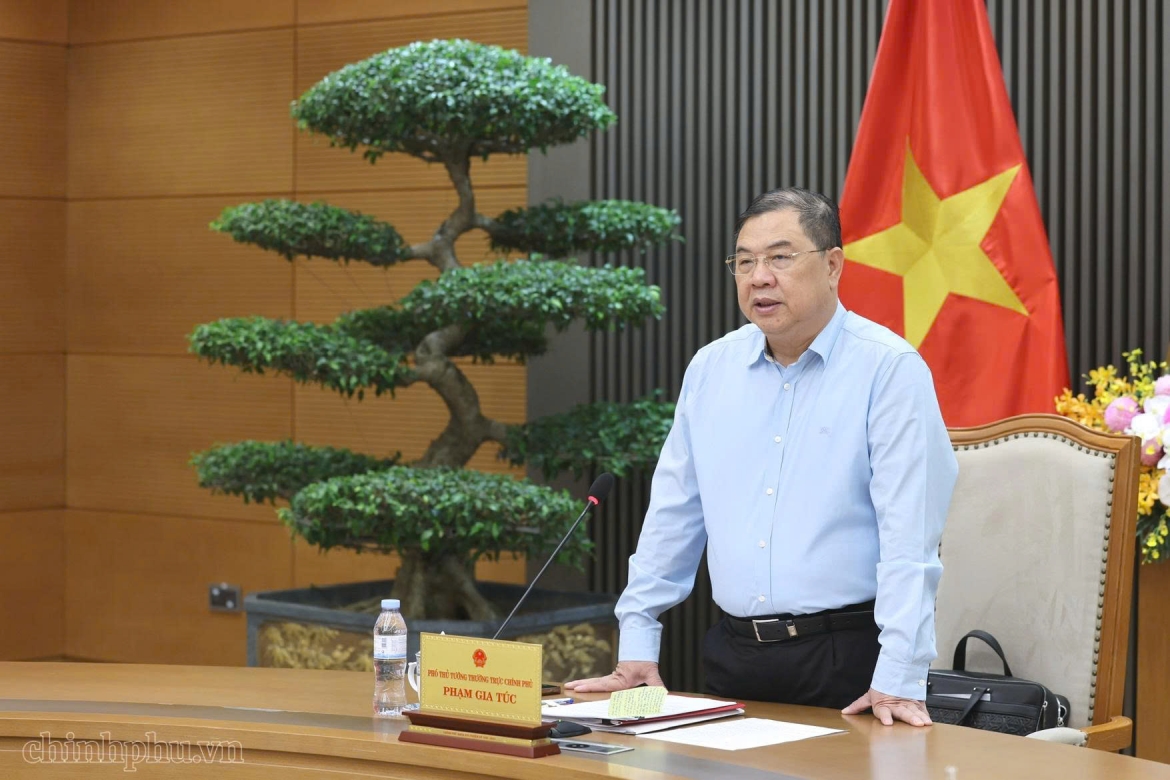 pho thu tuong pham gia tuc lam viec ve du an dien hat nhan ninh thuan hinh anh 1