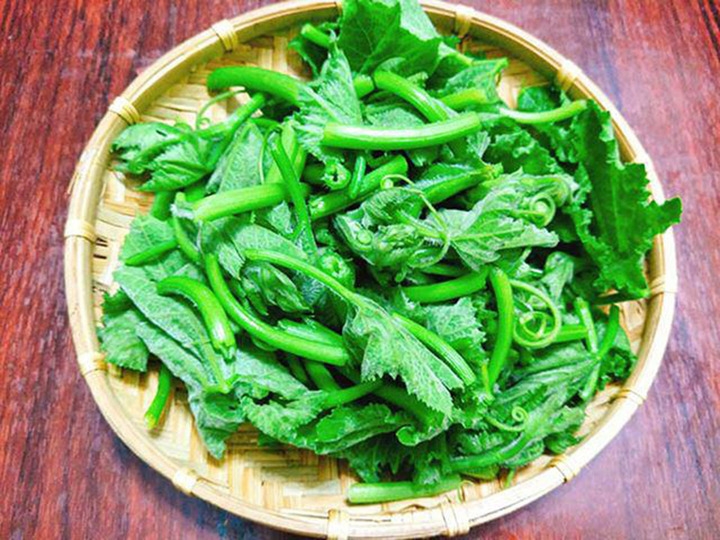 rau bi ban day cho giup on dinh huyet ap, tot cho tieu hoa hinh anh 1
